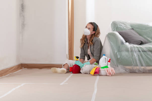 Reliable Mold Remediation contractor in Rineyville, KY by WQB Mold Removal
